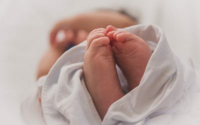 Newborn Photography in Lexington, KY: Everything You Need to Know